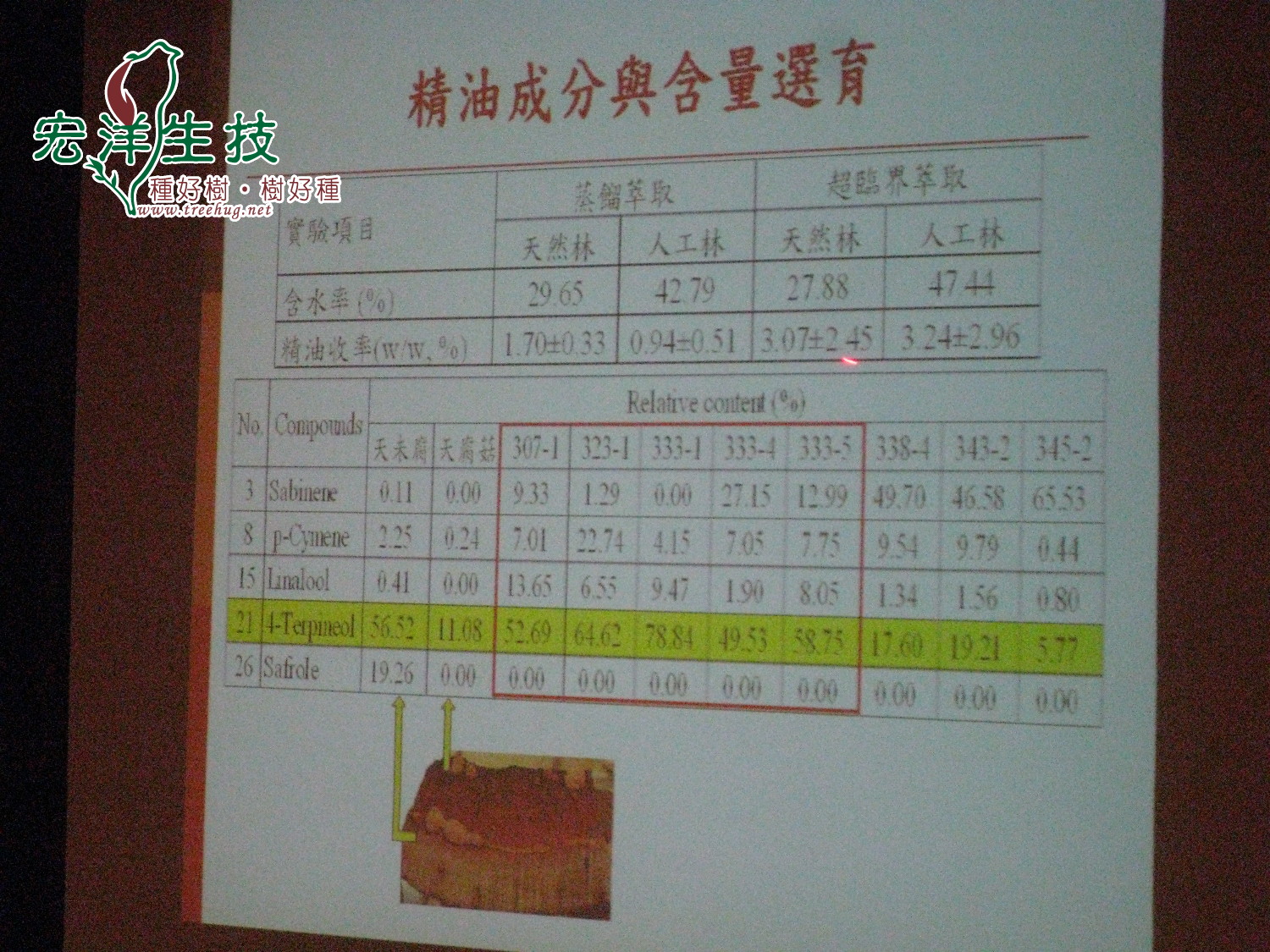 牛樟生物學與利用研討會 牛樟精油成分分析