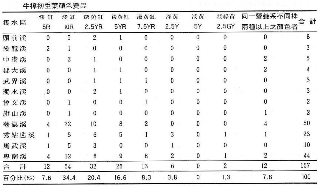 牛樟( Cinnamomum kanehirai Hay )