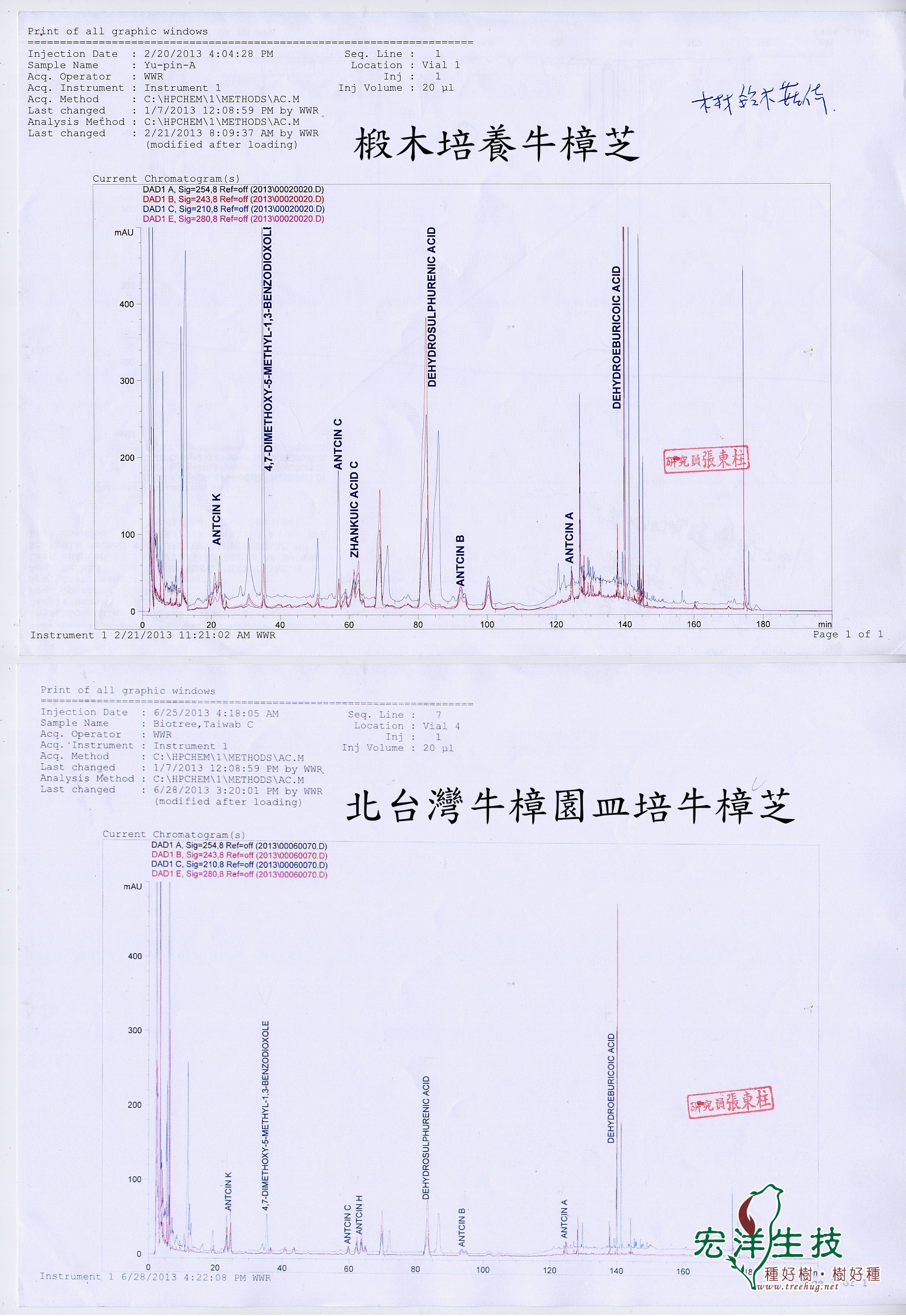 北台灣牛樟園皿培牛樟芝與椴木牛樟芝成分分析比較圖