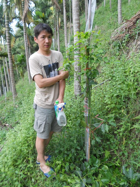 植地9個月